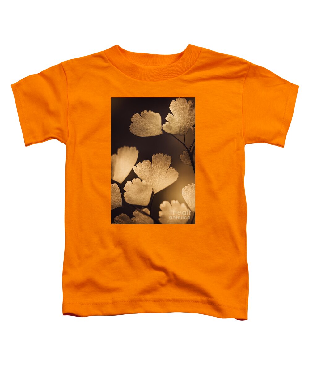 Macro Toddler T-Shirt featuring the photograph Autumn tree branch with luminous brown leaves #1 by Jorgo Photography