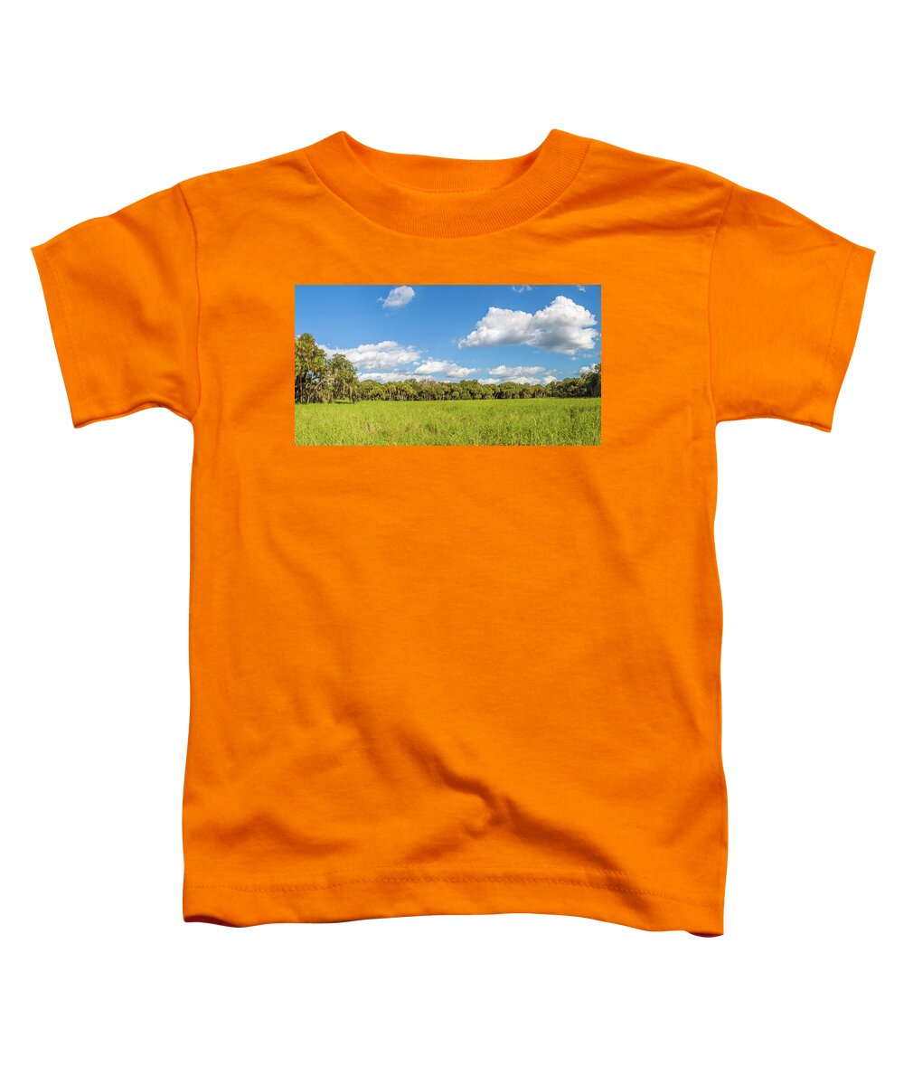Photography Toddler T-Shirt featuring the photograph Clouds Over Trees In A Forest, Myakka #1 by Panoramic Images