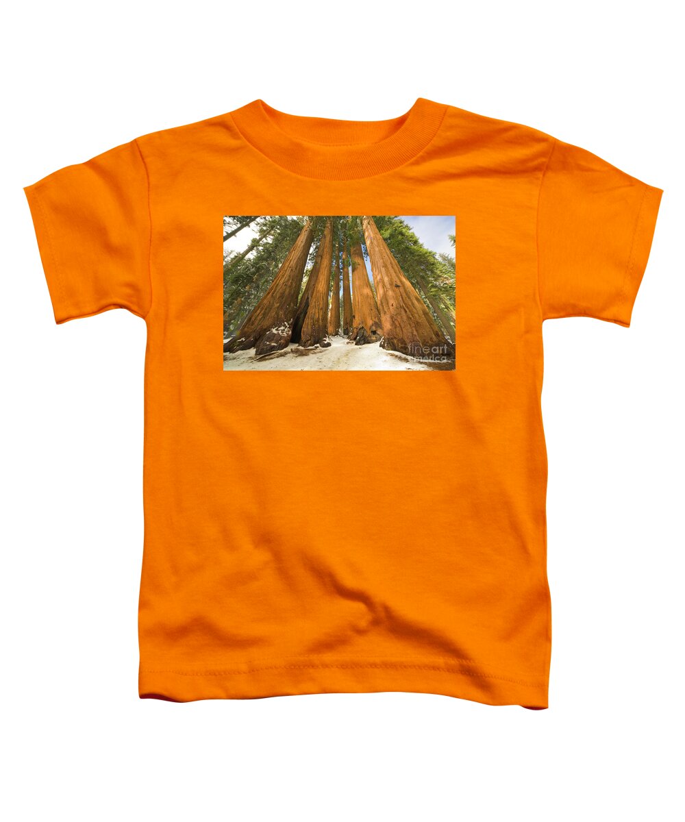 00431218 Toddler T-Shirt featuring the photograph Giant Sequoias After First Snow by Yva Momatiuk John Eastcott