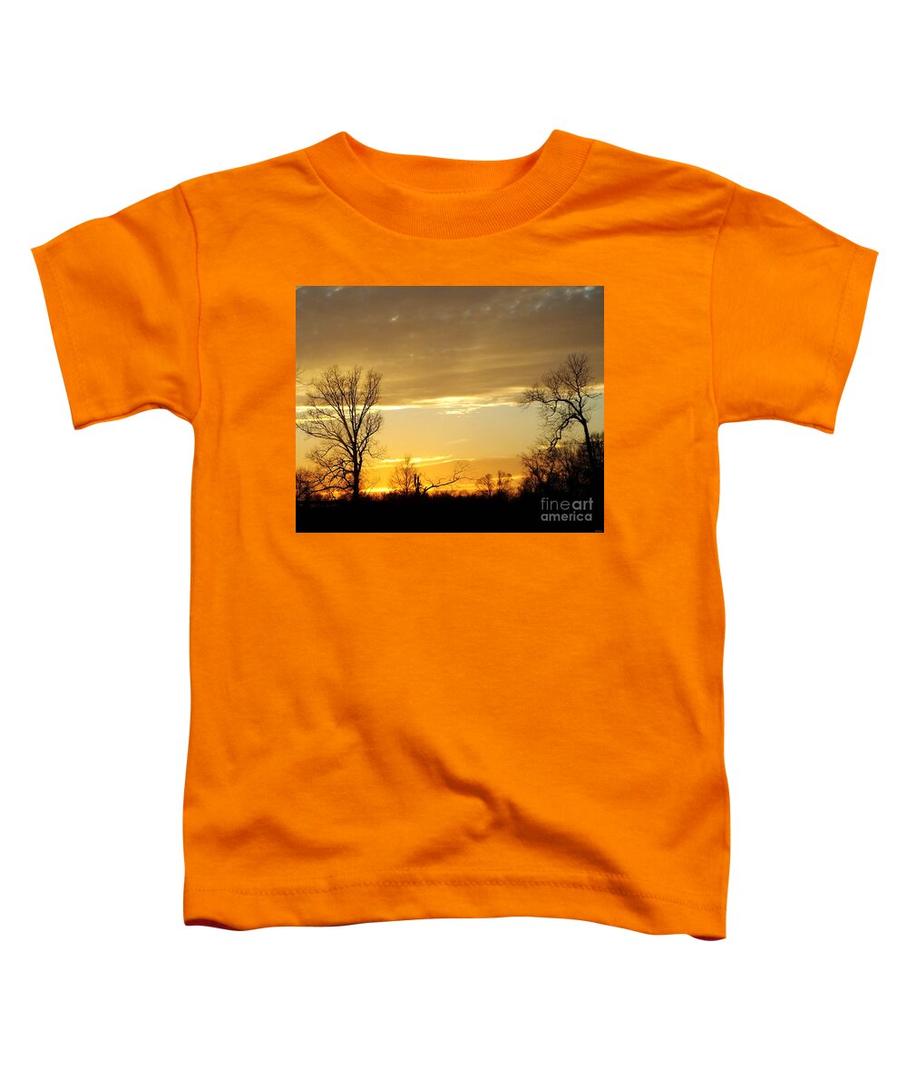 Gold Toddler T-Shirt featuring the photograph Golden Sunset 61 #1 by Lizi Beard-Ward