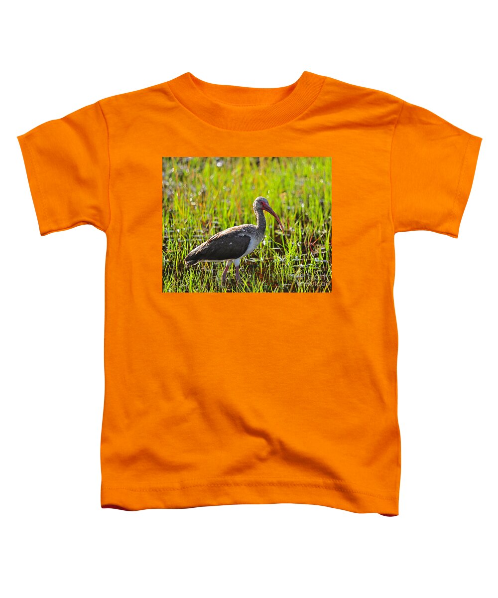 Ibis Toddler T-Shirt featuring the photograph Immature Ibis #1 by Al Powell Photography USA