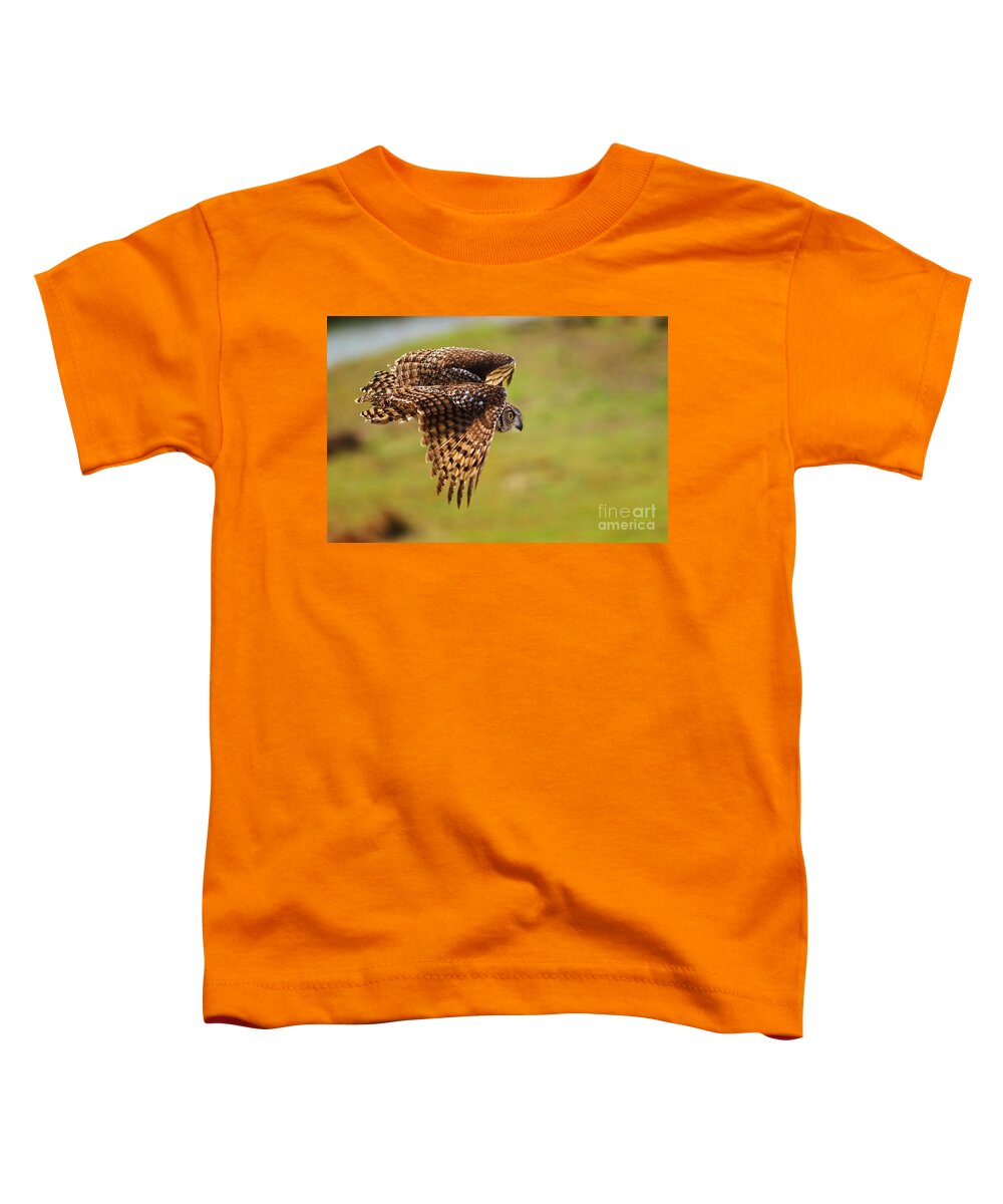 African Toddler T-Shirt featuring the photograph Spotted Eagle Owl in flight #2 by Nick Biemans