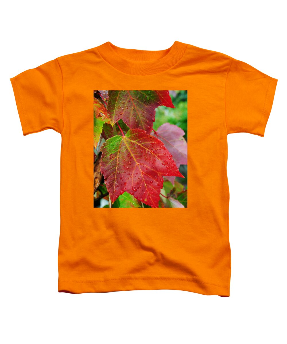 Season Toddler T-Shirt featuring the photograph Seasons Change #3 by Frozen in Time Fine Art Photography
