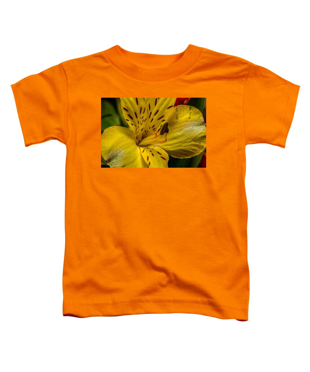 Alstroemeria Toddler T-Shirt featuring the photograph Alstroemeria Bloom by Ron Pate