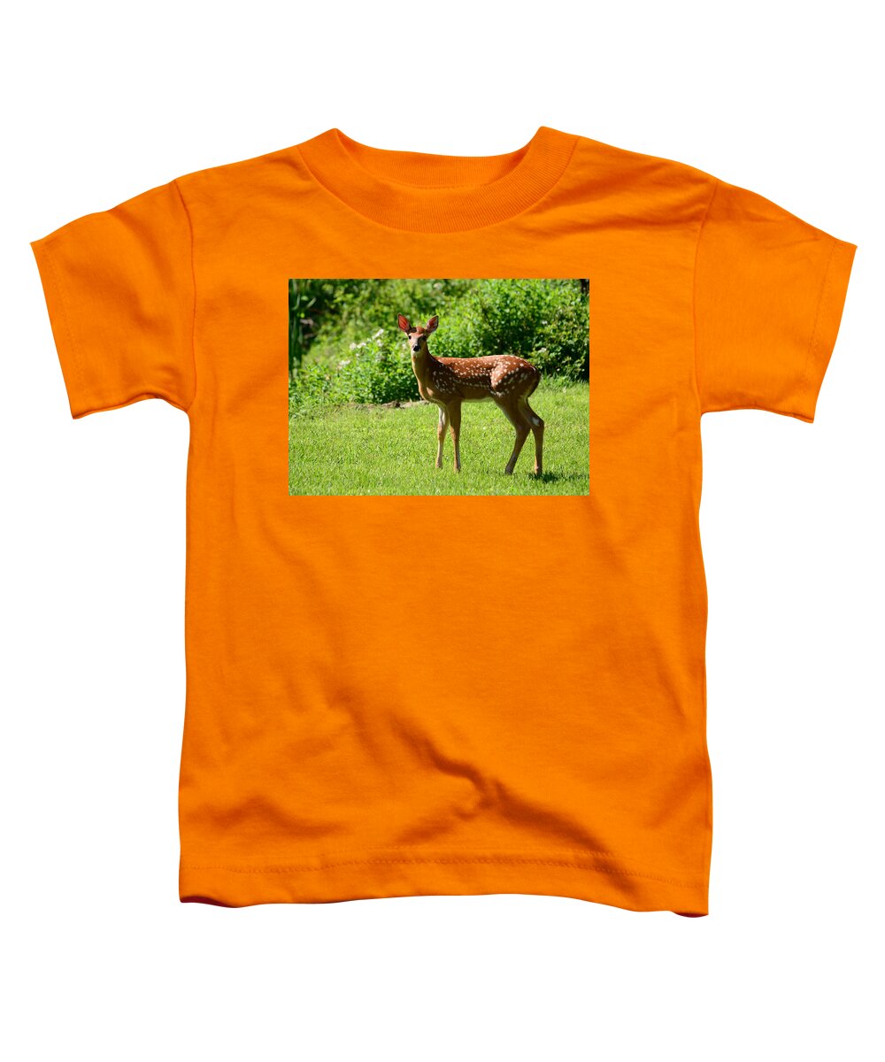 Deer Toddler T-Shirt featuring the photograph Another Reason to Love Spring by Lori Tambakis