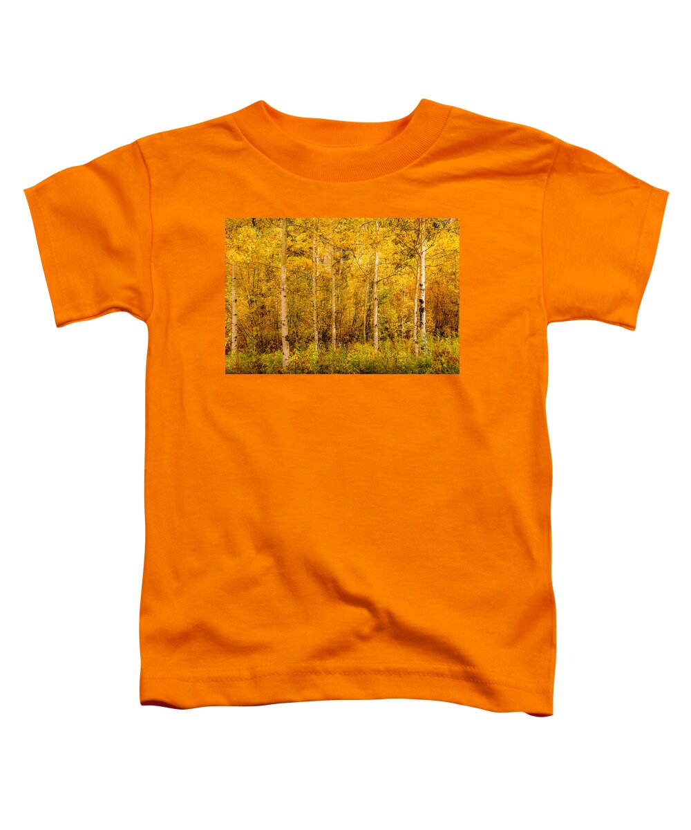 Aspen Toddler T-Shirt featuring the photograph Aspens in Autumn by Greni Graph