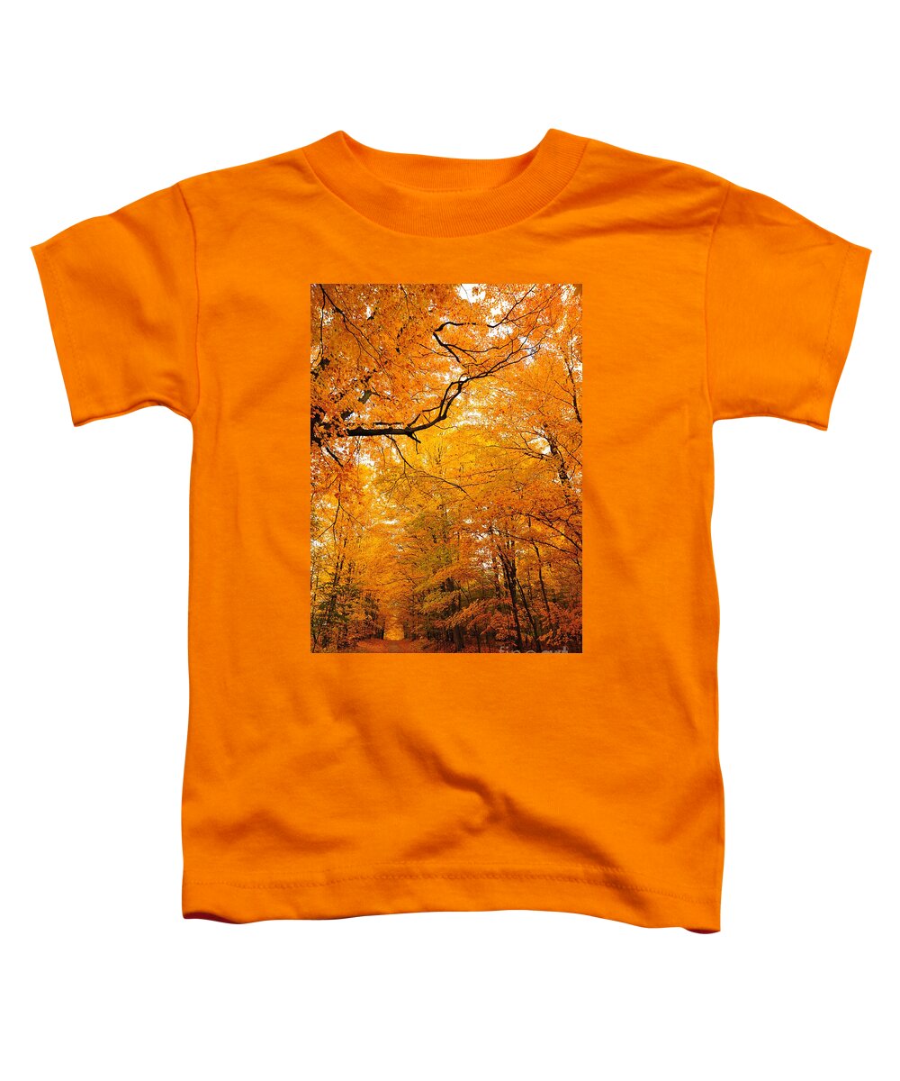 Autumn Toddler T-Shirt featuring the photograph Autumn Tunnel of Trees 2 by Terri Gostola