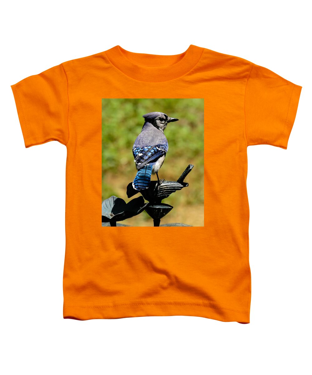 Bluejay Toddler T-Shirt featuring the photograph Bird on a bird by Robert L Jackson