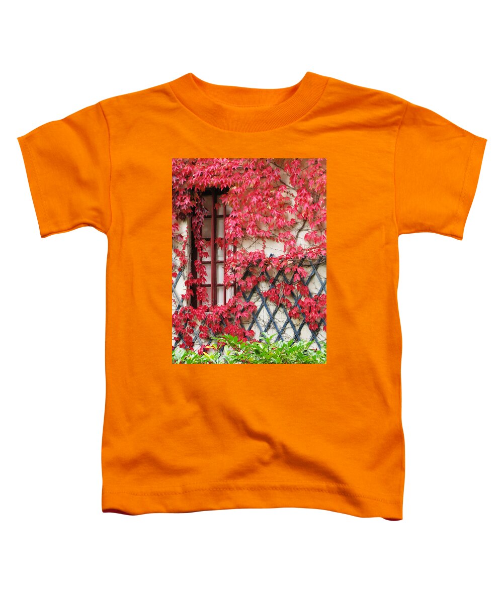 Fall Leaves Toddler T-Shirt featuring the photograph Chateau Chenonceau Vines on Wall Image Three by Randi Kuhne