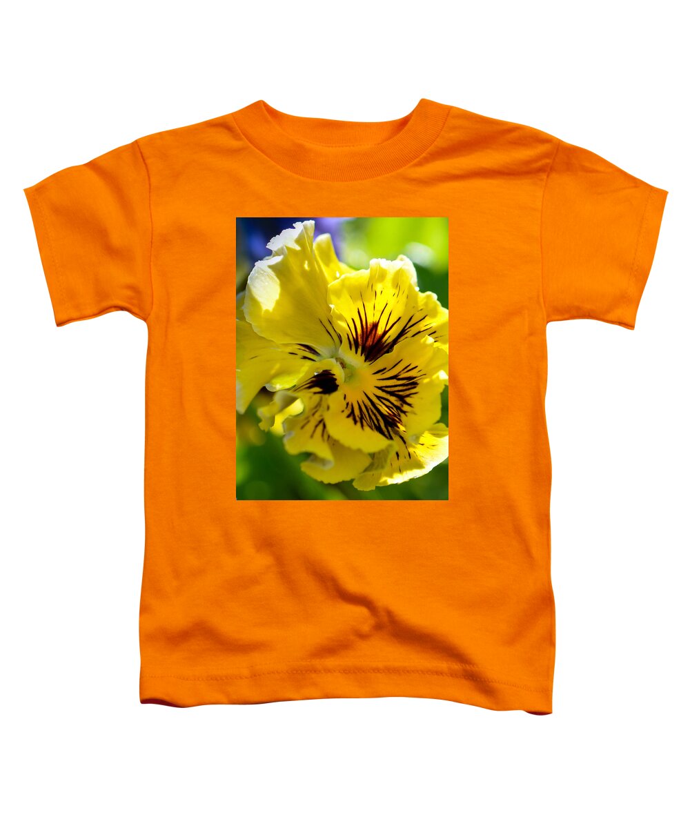 Pansy Toddler T-Shirt featuring the photograph Close Yellow Pansy by Amy Porter