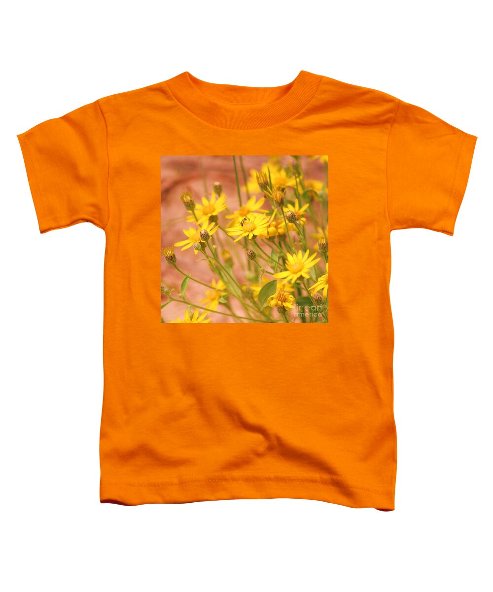 Daisy Toddler T-Shirt featuring the photograph Daisy a day series by Julie Lueders 