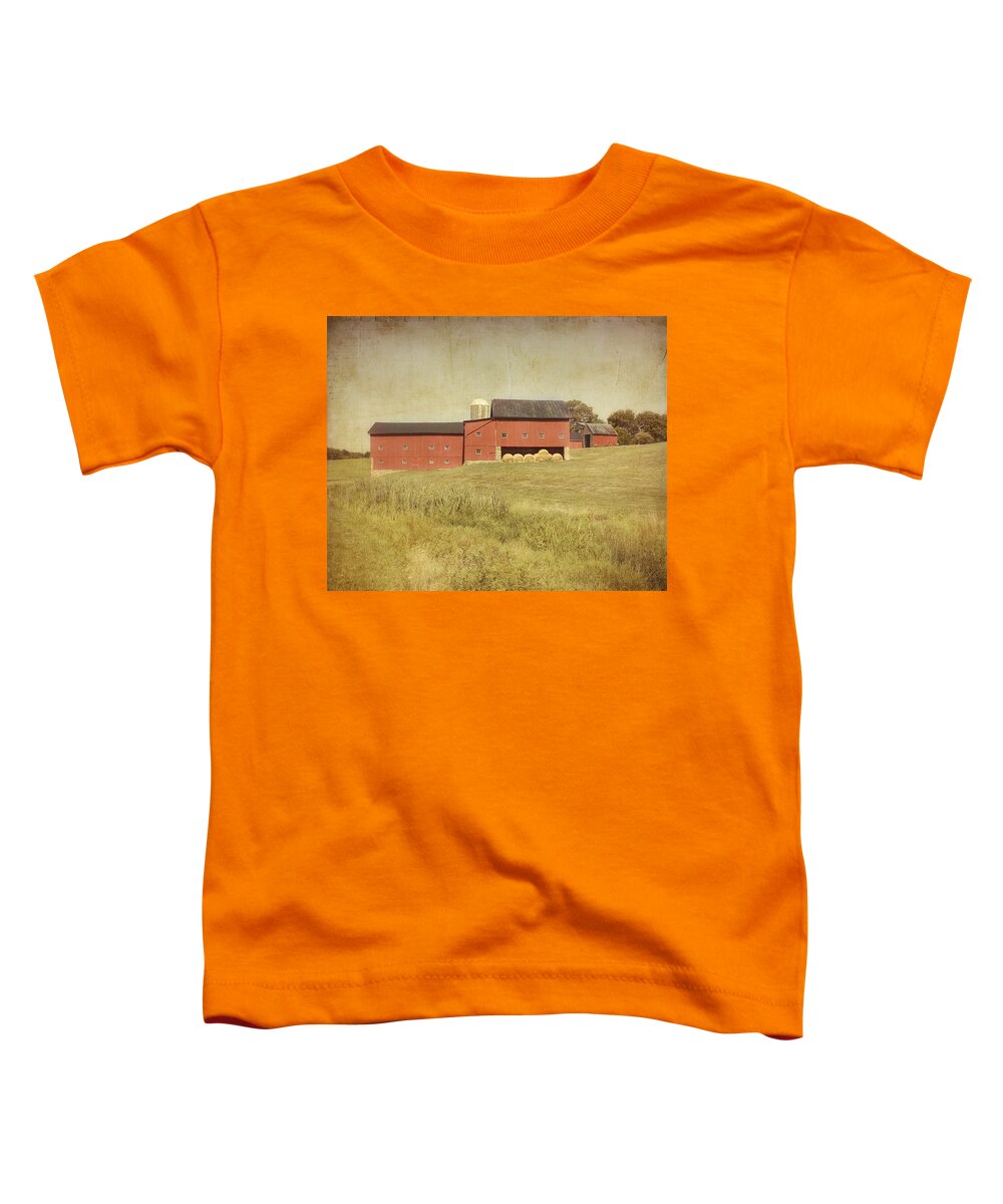 Farm Toddler T-Shirt featuring the photograph Down on the Farm by Kim Hojnacki