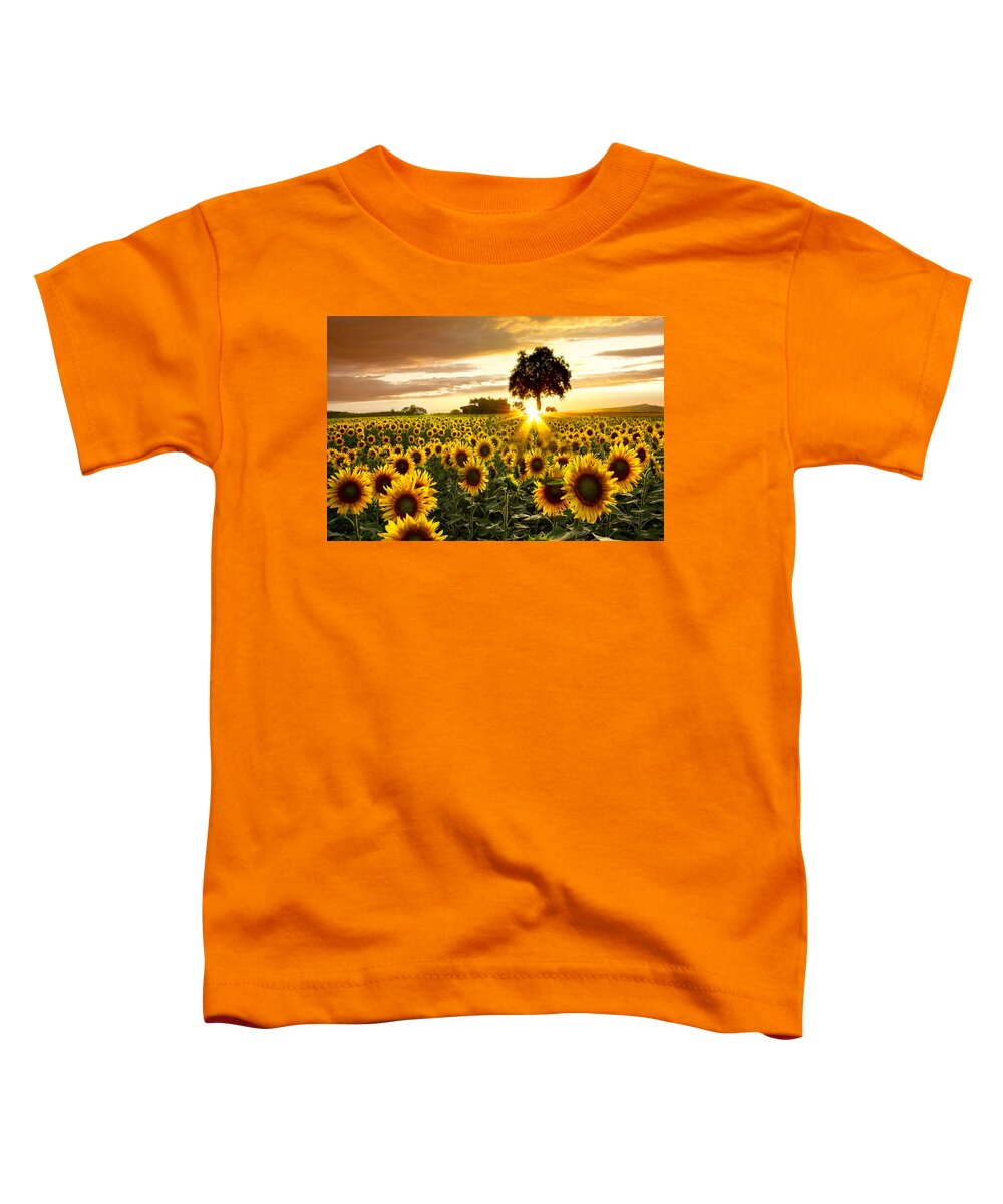 Appalachia Toddler T-Shirt featuring the photograph Fields of Gold by Debra and Dave Vanderlaan