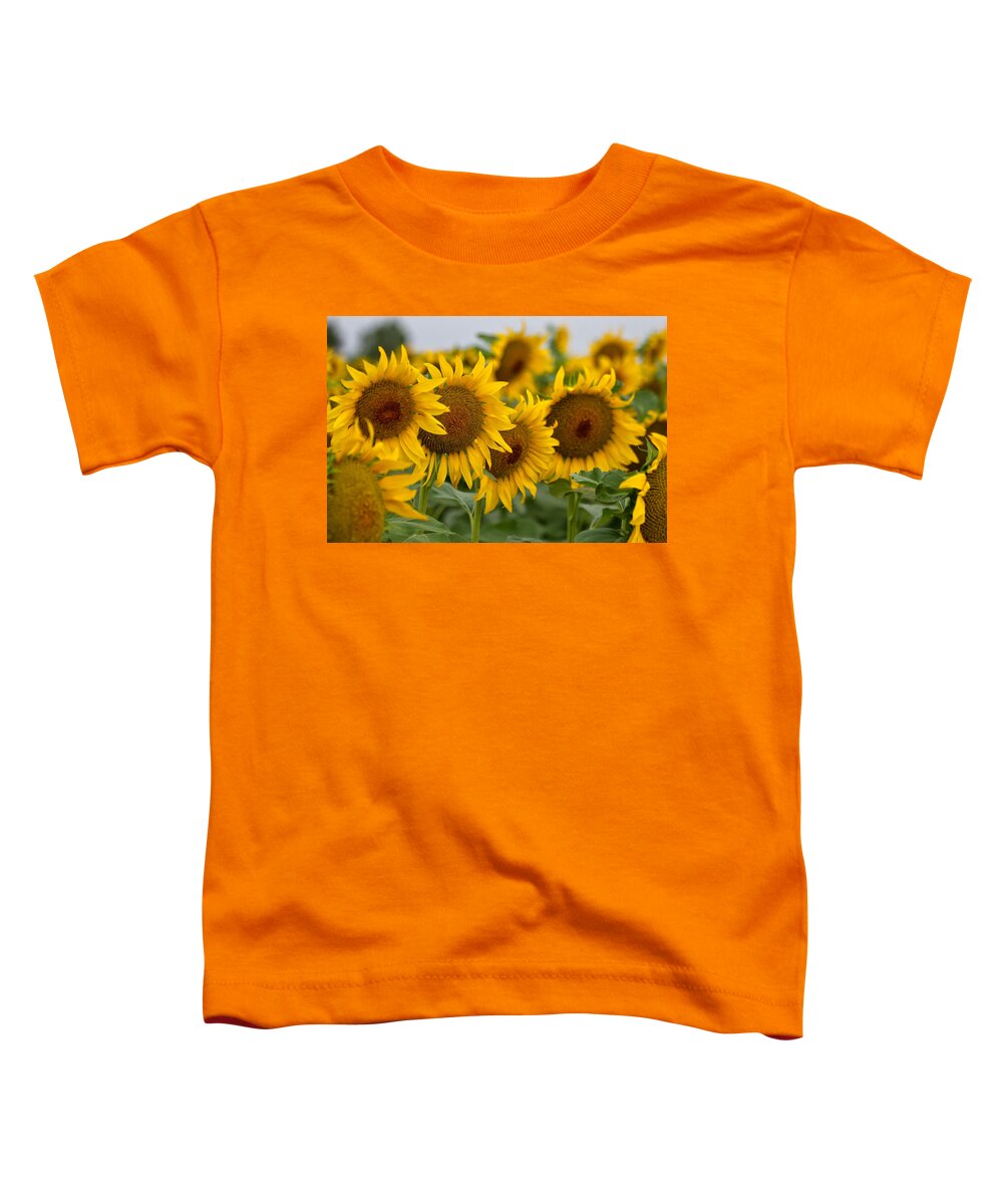Sunflowers Toddler T-Shirt featuring the photograph Four by Ronda Kimbrow