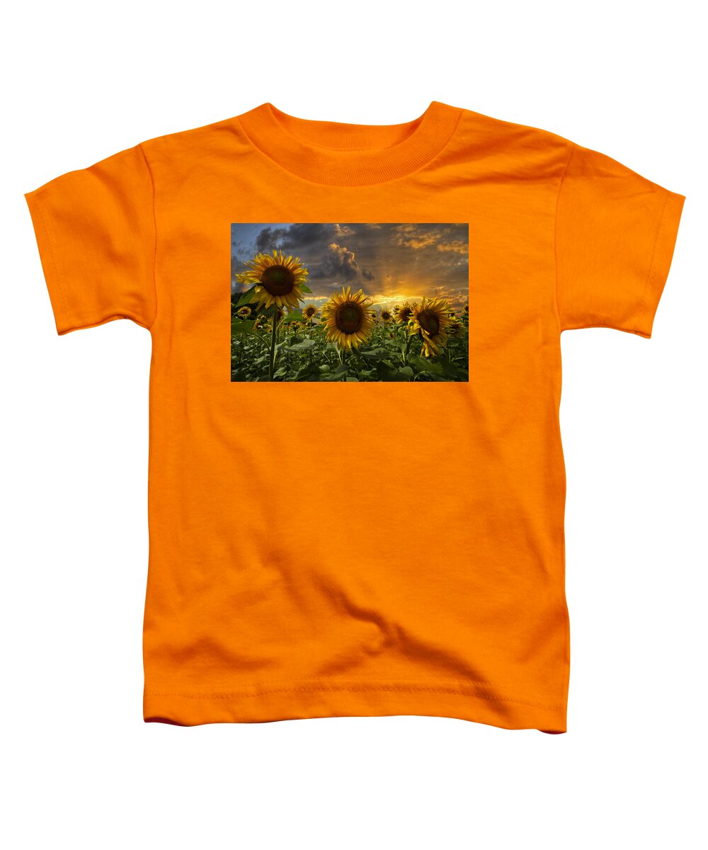 Austria Toddler T-Shirt featuring the photograph Glory by Debra and Dave Vanderlaan