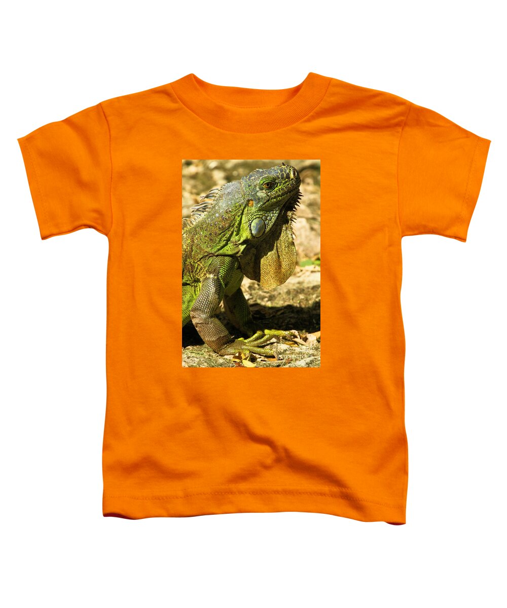 Iguana Toddler T-Shirt featuring the photograph Green Cozumel Iguana by Adam Jewell