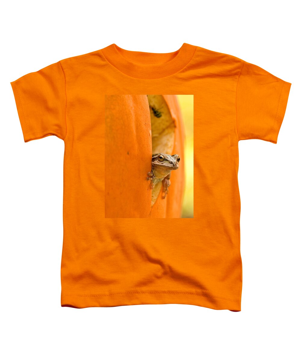 Frog Toddler T-Shirt featuring the photograph Halloween surprise by Jean Noren