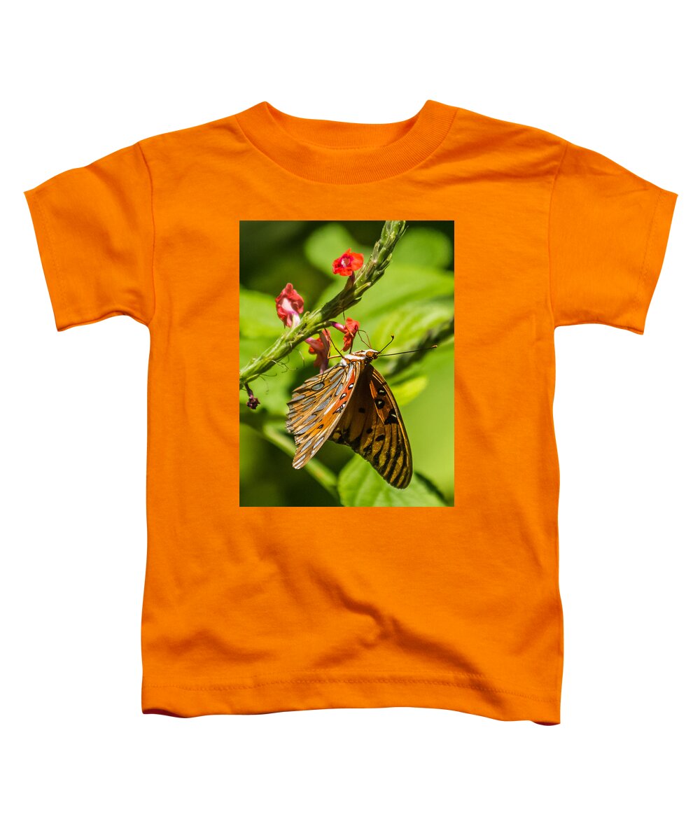 Butterfly Toddler T-Shirt featuring the photograph Hanging off the side by Jane Luxton