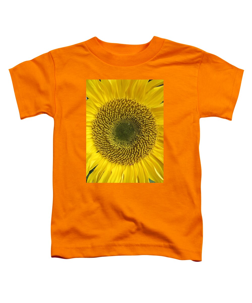 Daisy Toddler T-Shirt featuring the photograph Here comes the sun.... by Rosita Larsson