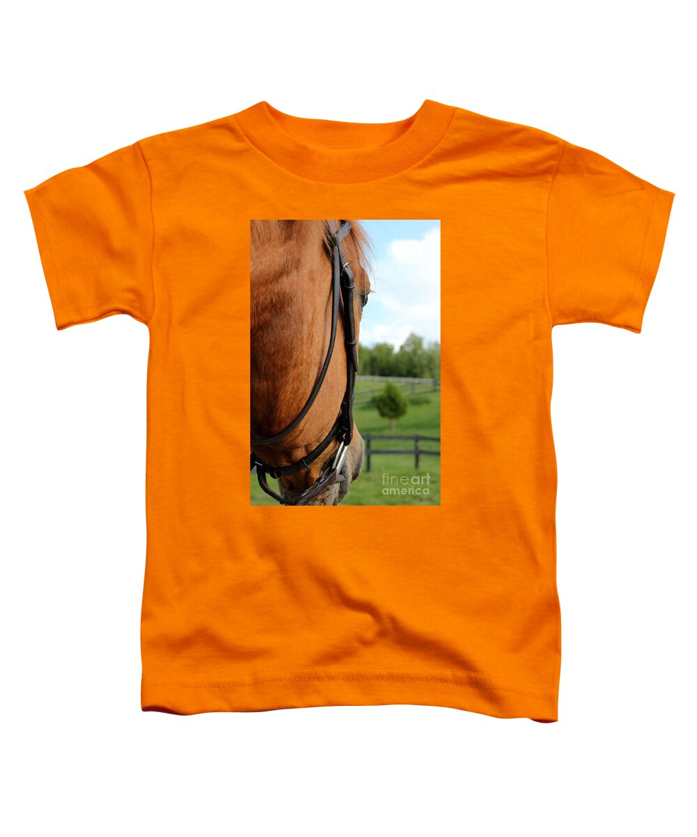 Horse Toddler T-Shirt featuring the photograph Horse View by Janice Byer