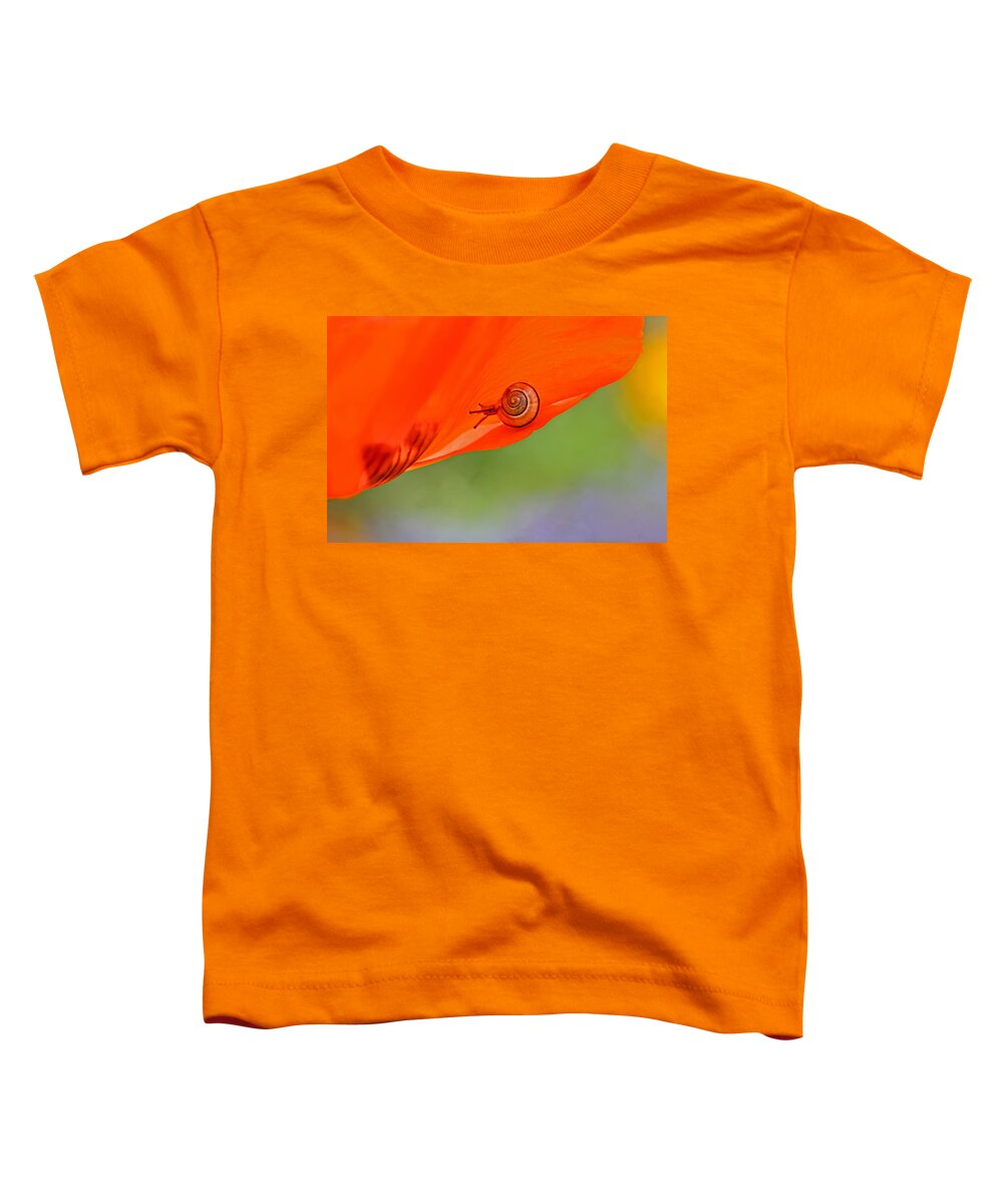 Snail Toddler T-Shirt featuring the photograph Leading a Colorful Life by Peggy Collins