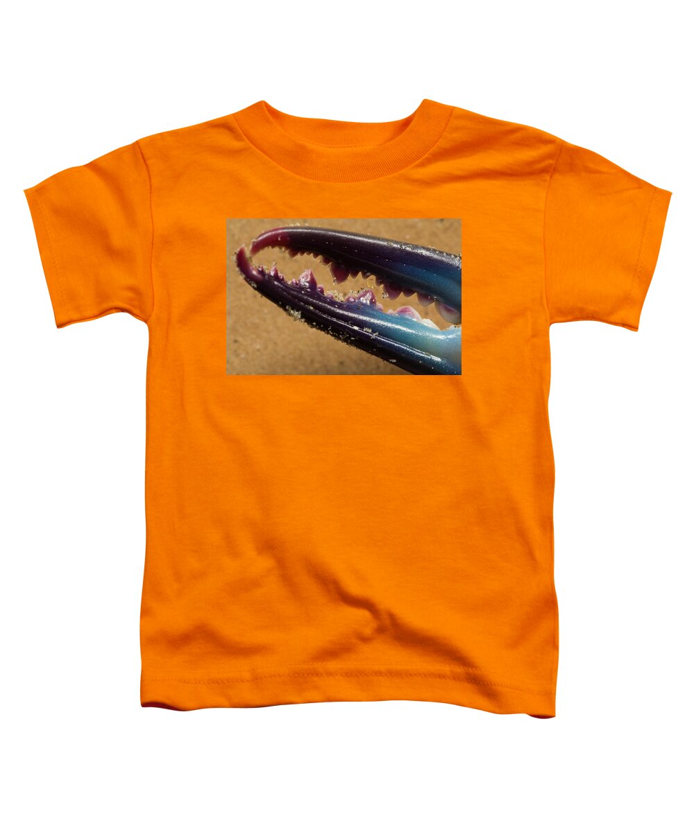 Crab Toddler T-Shirt featuring the photograph Macro Crab Claw by Patricia Schaefer