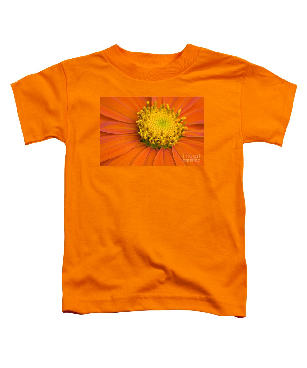 Close-up Toddler T-Shirt featuring the photograph Mexican Torch - D009187 by Daniel Dempster