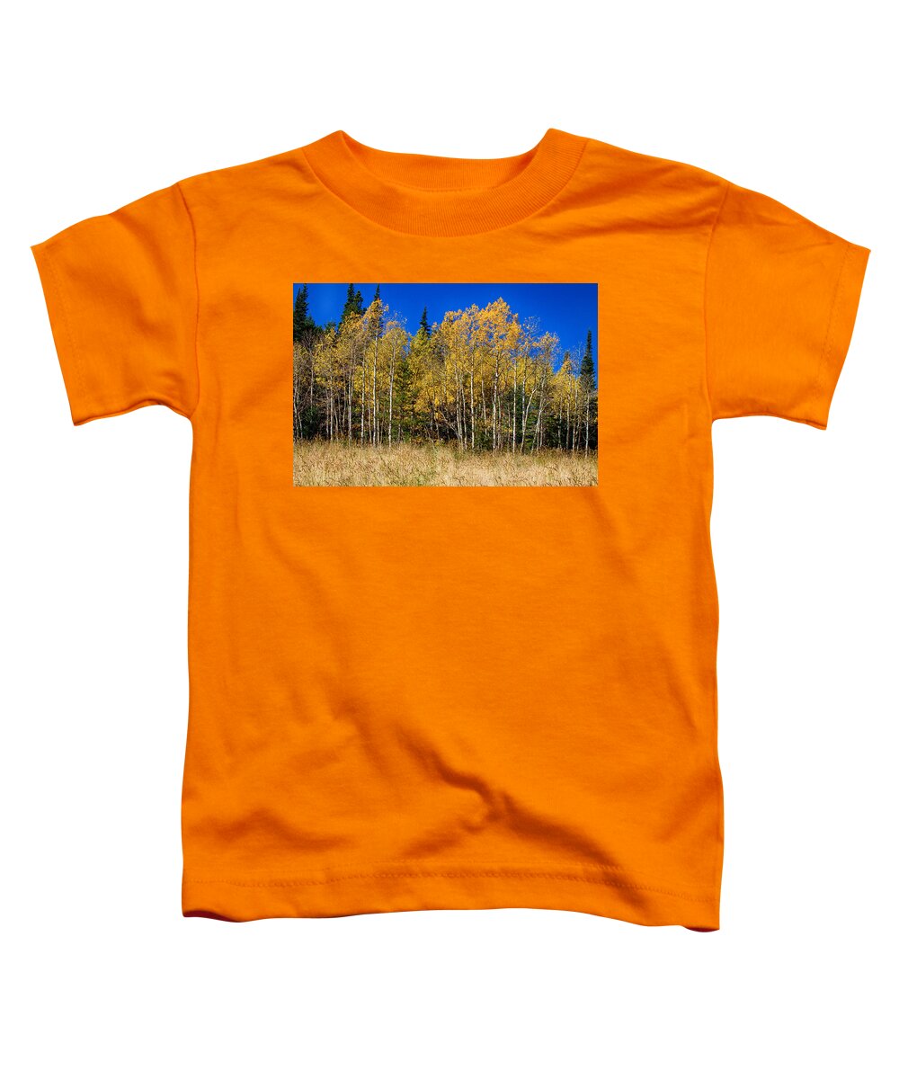 Autumn Toddler T-Shirt featuring the photograph Mountain Grasses Autumn Aspens In Deep Blue Sky by James BO Insogna