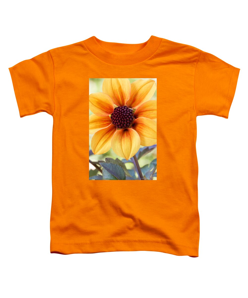 Abstract Toddler T-Shirt featuring the photograph My Sunshine by Heidi Smith