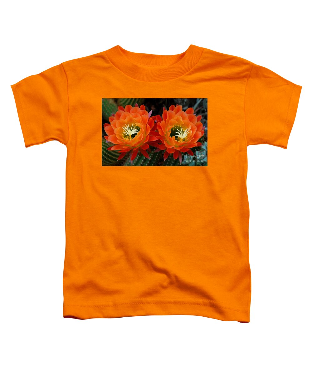 Orange Toddler T-Shirt featuring the photograph Orange Cactus Flowers by Nancy Mueller
