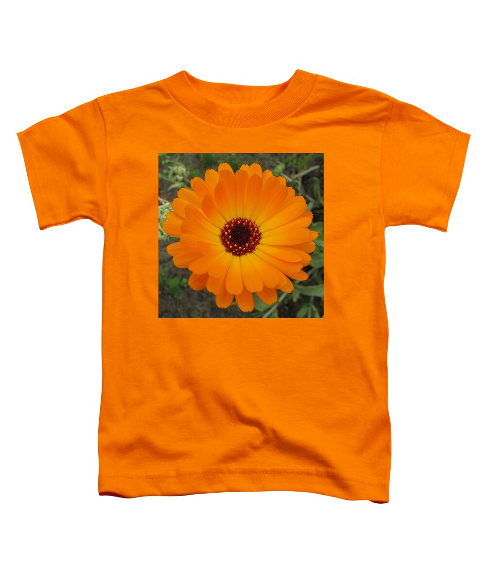 Flower Toddler T-Shirt featuring the photograph Orange Husbandman's Dial Marigold Flower by Taiche Acrylic Art