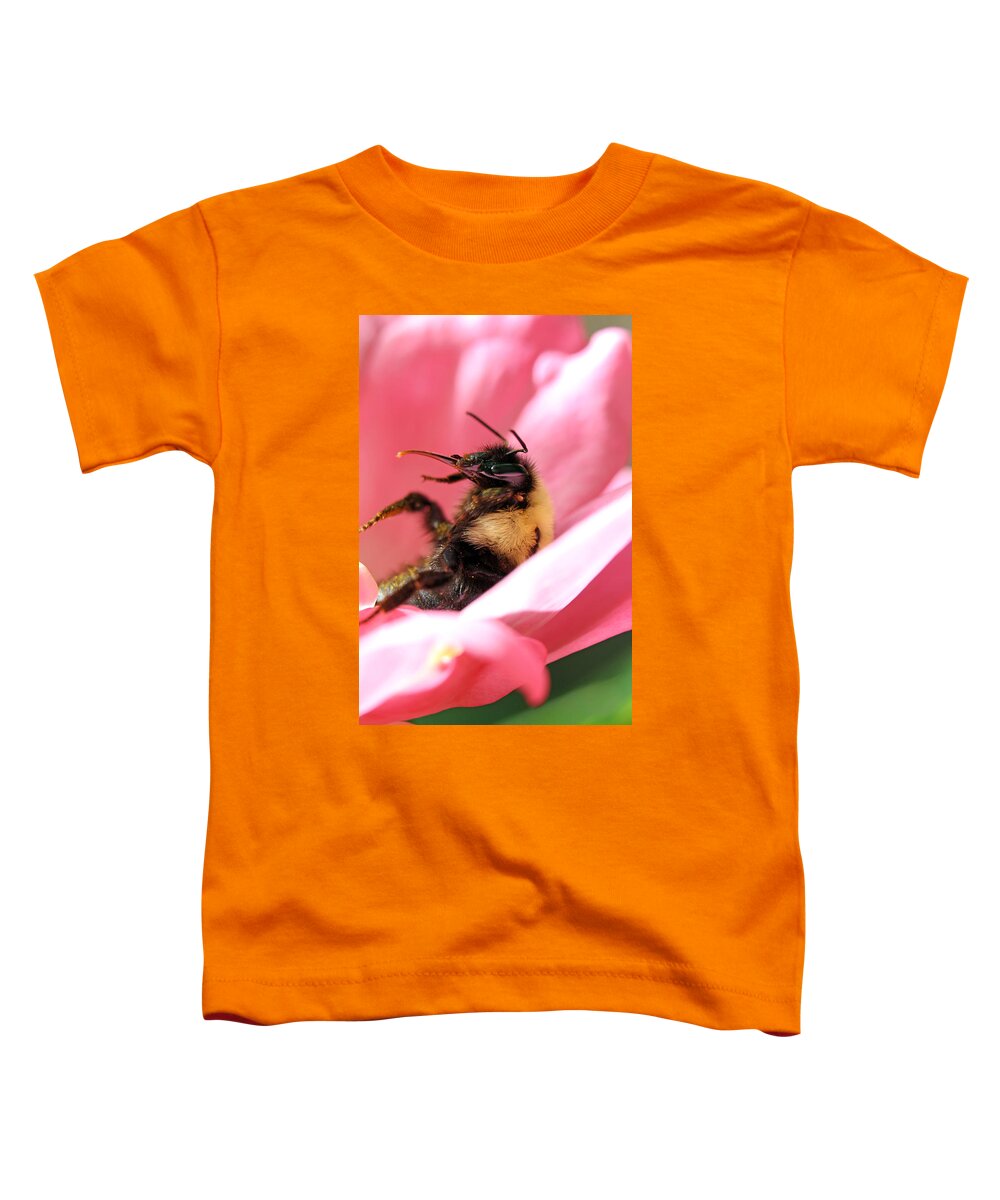 Insects Toddler T-Shirt featuring the photograph 'Pollen High' by Jennifer Robin