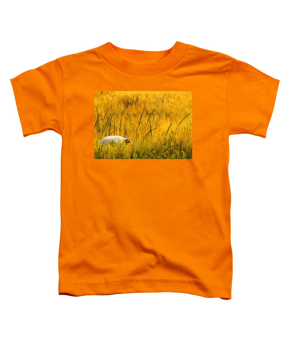 Field Toddler T-Shirt featuring the photograph Queen Anne's Lace by Theresa Tahara