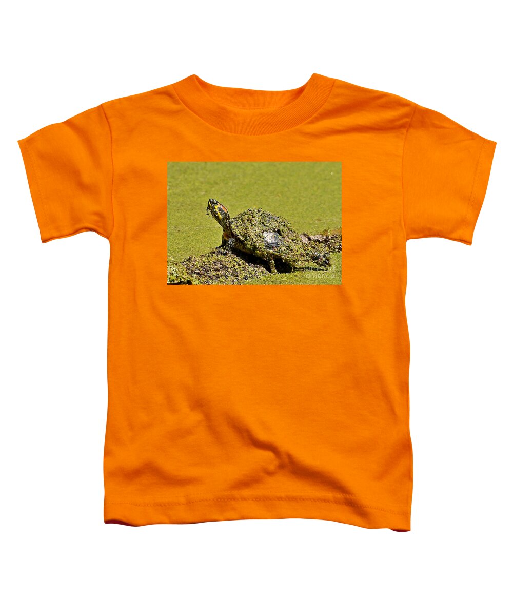 Turtle Toddler T-Shirt featuring the photograph Red Eared Slider Turtle by Kathy Baccari