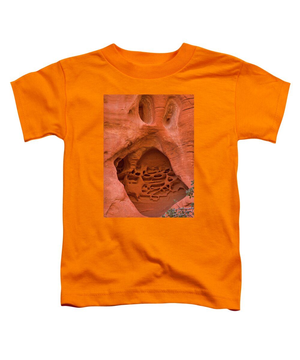 00559250 Toddler T-Shirt featuring the photograph Sandstone Red Rock Canyon by Yva Momatiuk John Eastcott