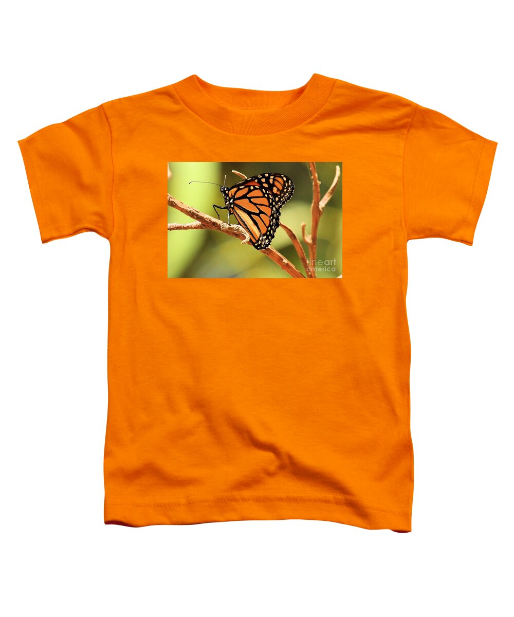 Channel Islands National Park Toddler T-Shirt featuring the photograph Santa Cruz Island Butterfly by Adam Jewell