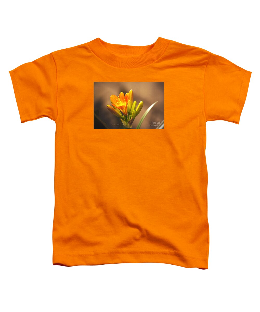 Kaffir Lily Toddler T-Shirt featuring the photograph Single Kaffir Lily Bloom by Richard J Thompson 