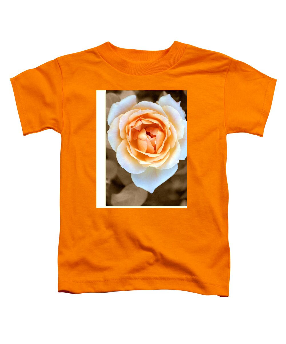 Flower Toddler T-Shirt featuring the photograph Smooth Angel Rose by Holly Kempe