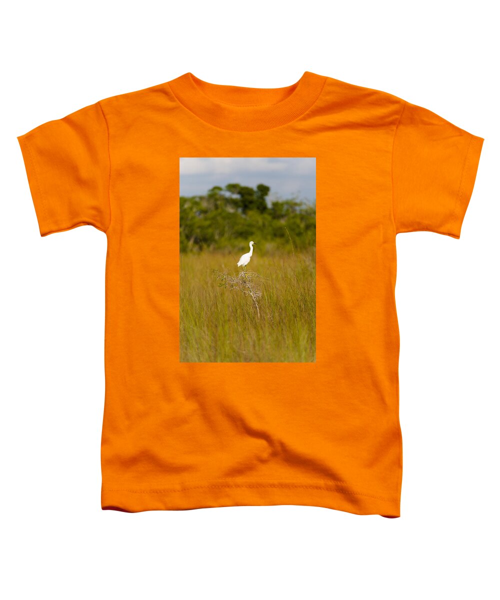 Egret Toddler T-Shirt featuring the photograph Snowy Egret by Raul Rodriguez