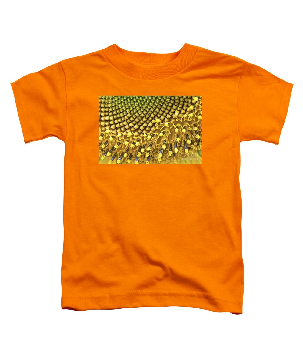 Solar Flair Toddler T-Shirt featuring the photograph Solar Flair by Gary Holmes