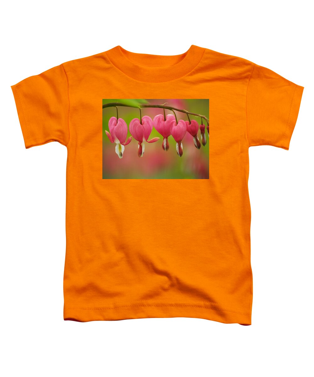 Flowers Toddler T-Shirt featuring the photograph String Of Hearts by Dorothy Lee
