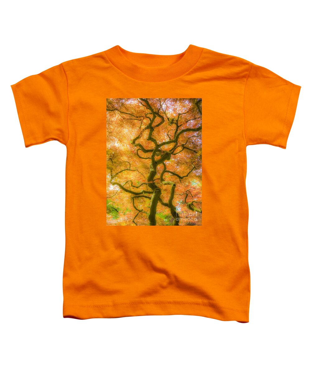 The Magic Forest Toddler T-Shirt featuring the photograph The Magic Forest-15 by Casper Cammeraat