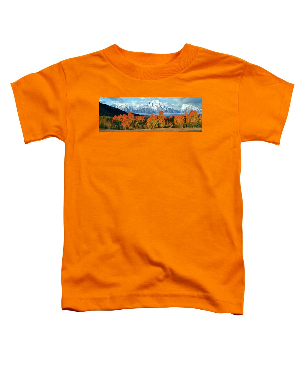 Photography Toddler T-Shirt featuring the photograph Trees In A Forest With Snowcapped by Panoramic Images