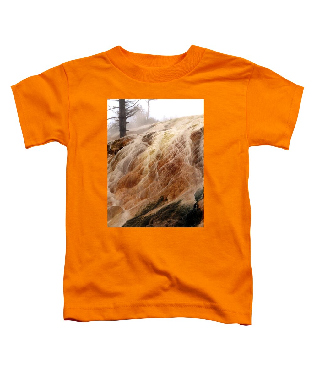 Veil Toddler T-Shirt featuring the photograph Veil of Color by Tranquil Light Photography