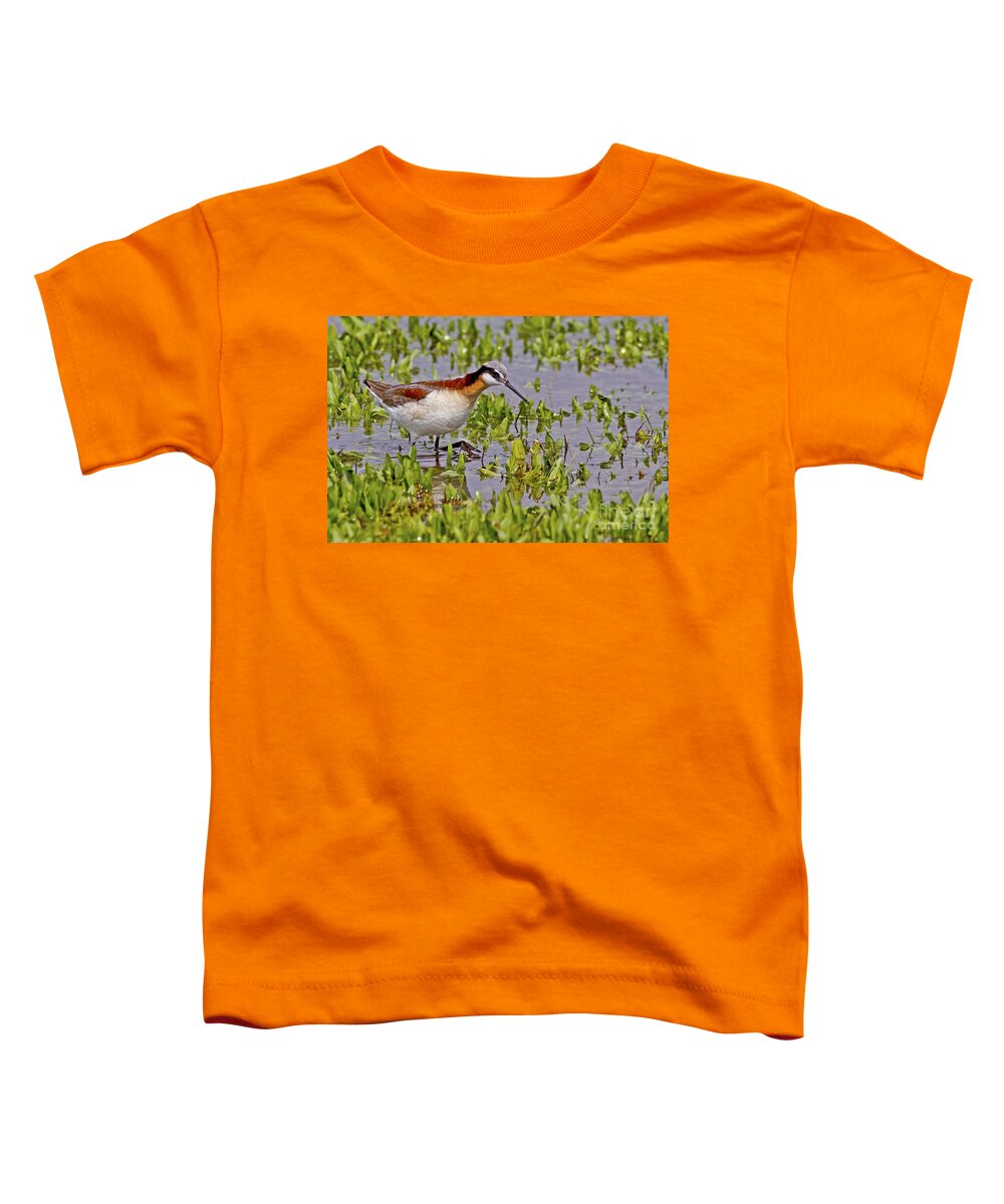 Wading Beauty Toddler T-Shirt featuring the photograph Wading Beauty by Gary Holmes