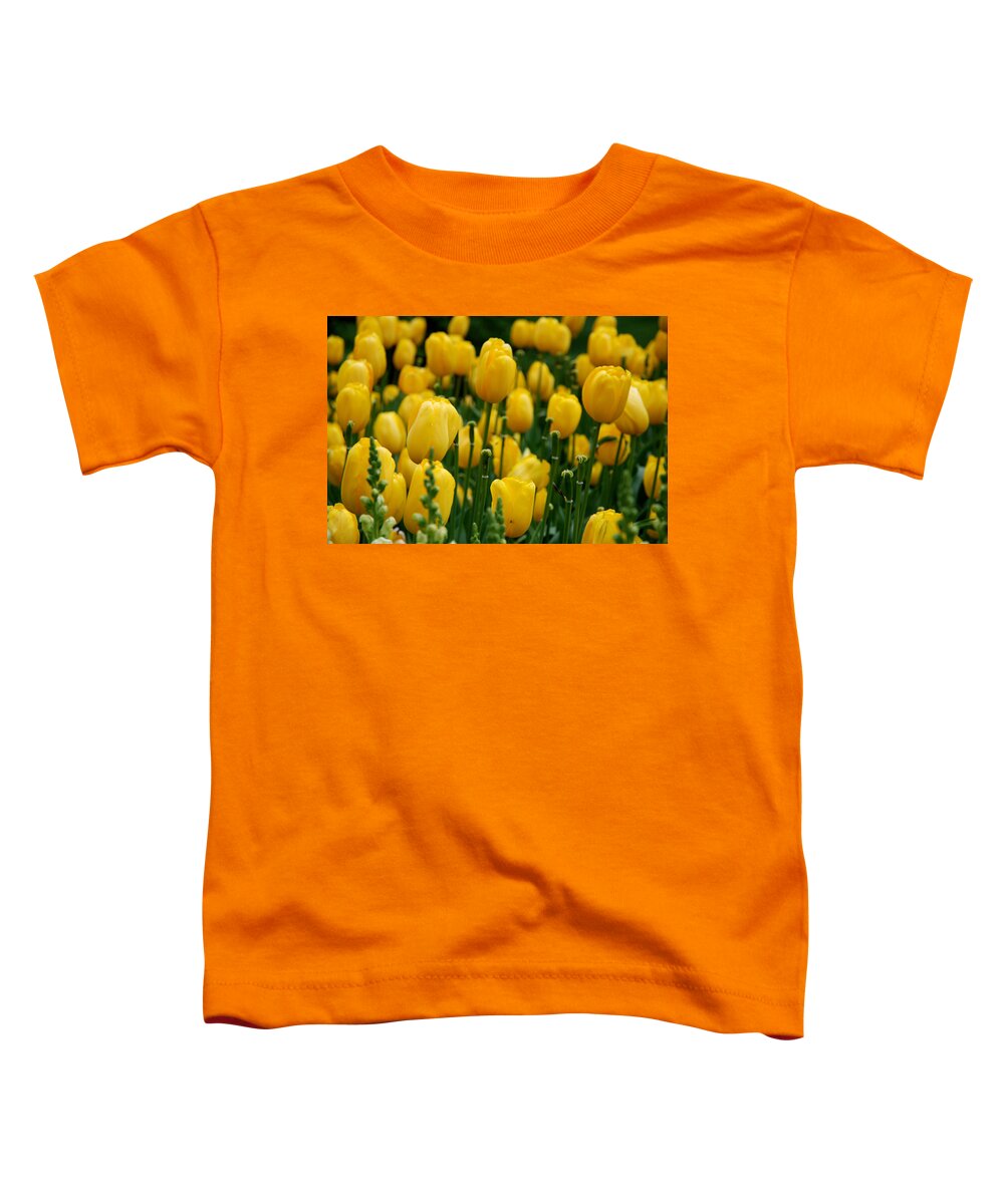 Tulip Toddler T-Shirt featuring the photograph Yellow Tulip Sea by Jennifer Ancker