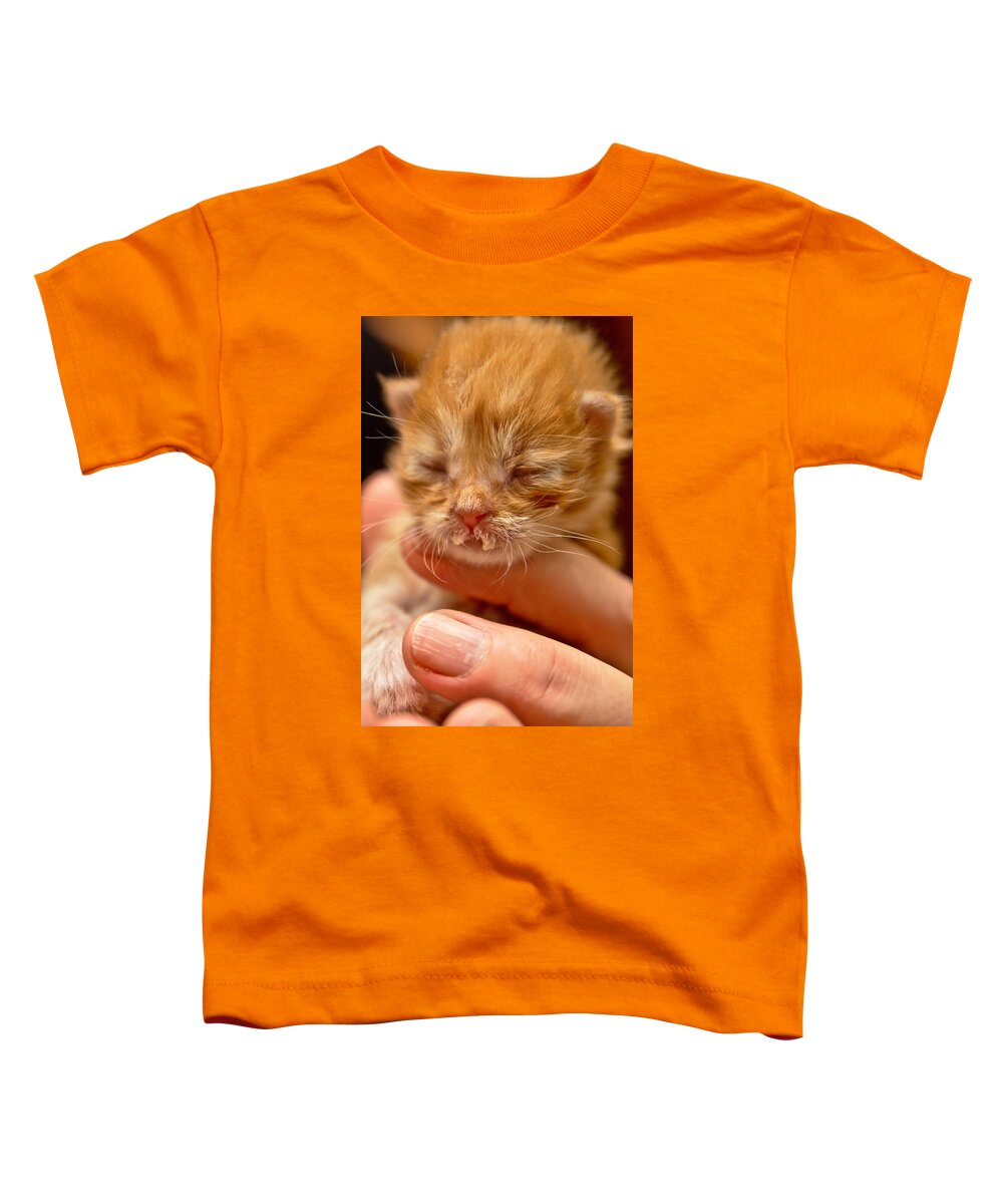 Animal Toddler T-Shirt featuring the photograph Kitty #1 by Michael Goyberg