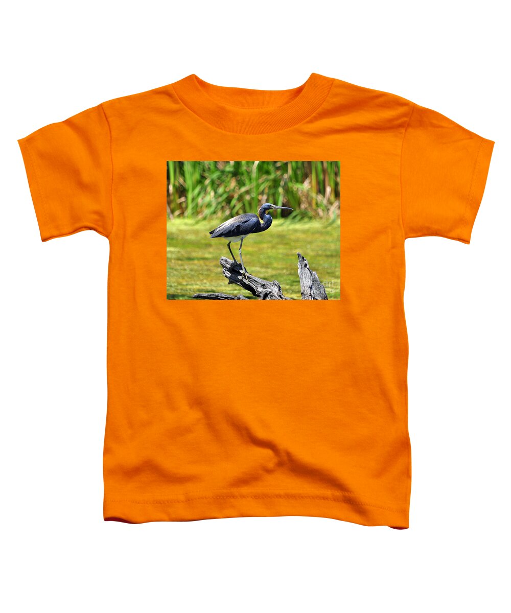 Heron Toddler T-Shirt featuring the photograph Tricolored Heron #1 by Al Powell Photography USA