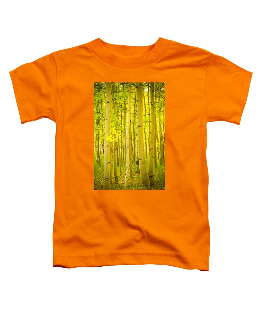 Autumn Toddler T-Shirt featuring the photograph Autumn Aspens Vertical Image by James BO Insogna