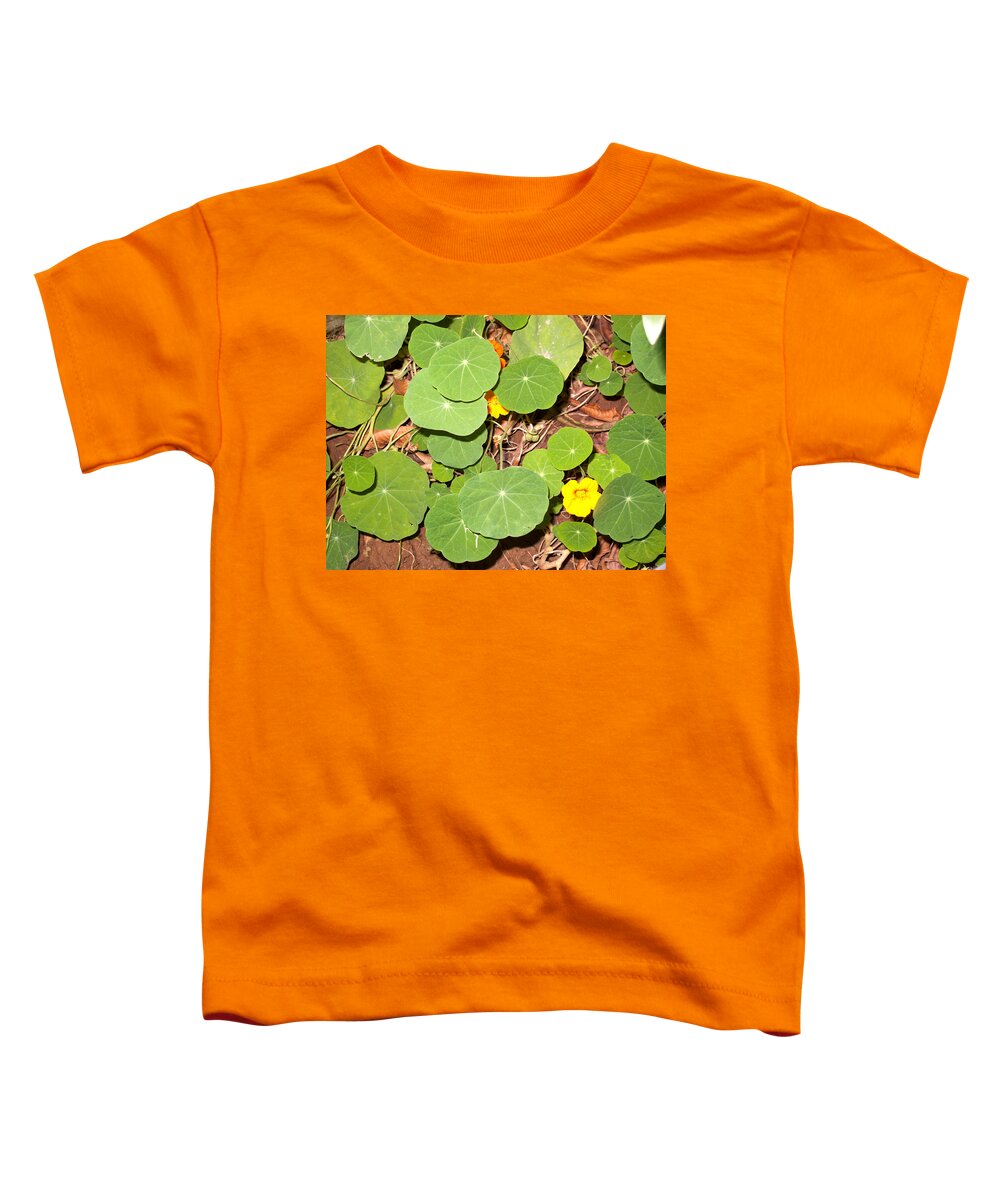 Plant Toddler T-Shirt featuring the photograph Beautiful round green leaves of a plant with orange flowers by Ashish Agarwal